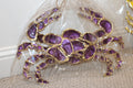Purple Crab